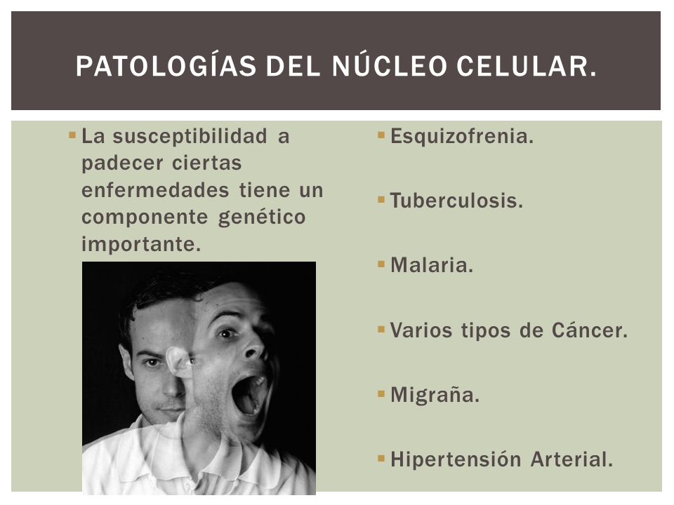 enfermedades humanas relacionadas con los organelos celulares enfermedades humanas relacionadas con los organelos celulares